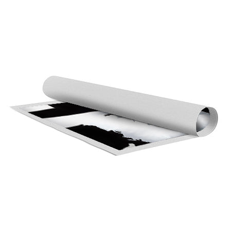The Rebbe - Black and White